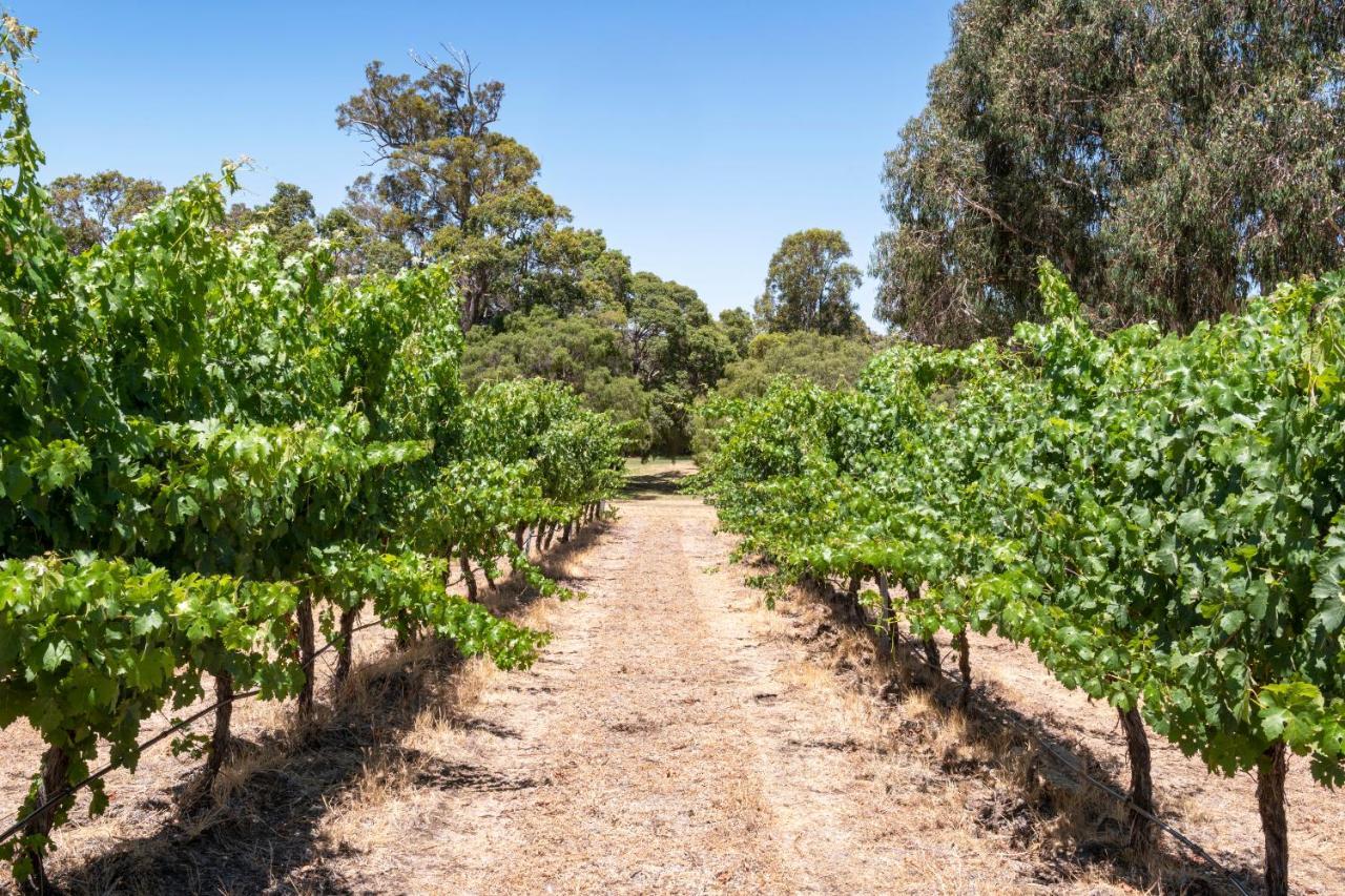 Island Brook Estate Vineyard And Chalets Yelverton Exterior foto