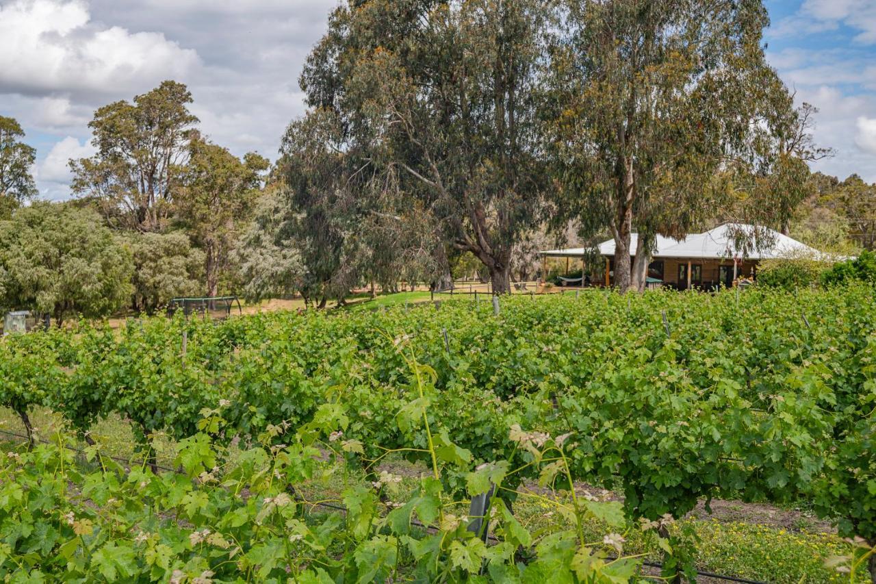 Island Brook Estate Vineyard And Chalets Yelverton Exterior foto